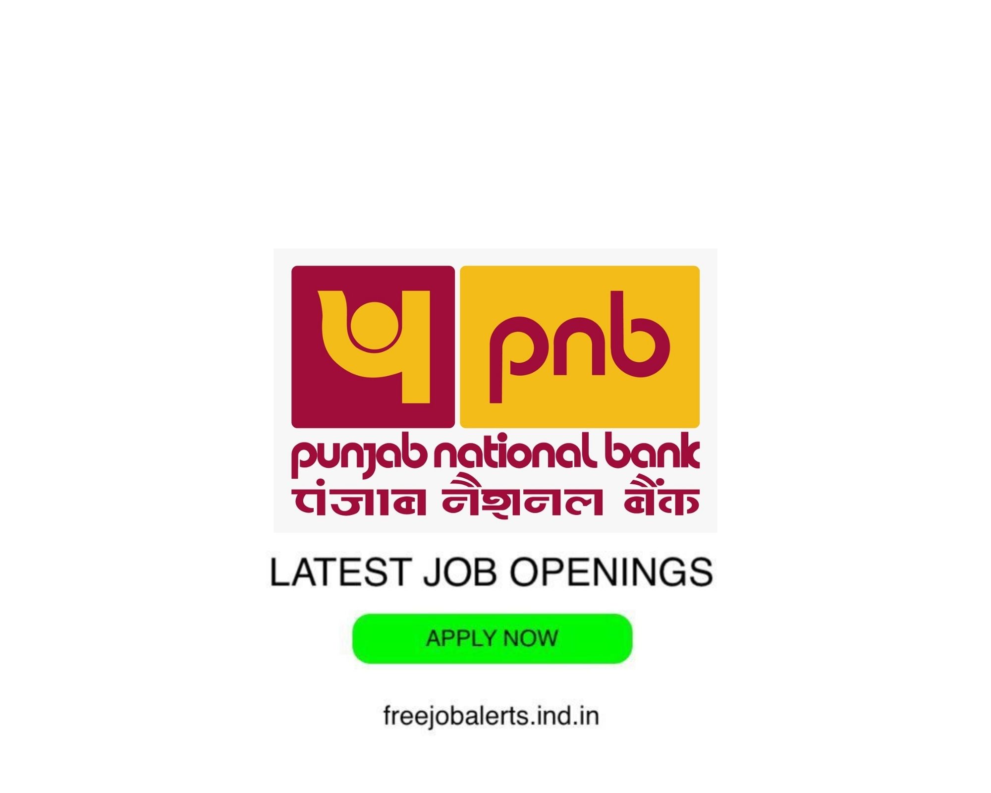 PNB - Punjab National Bank - Latest Govt job openings - Free job alerts, Indian Govt Jobs